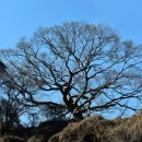 산장가든 이미지