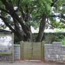 괴정1동-8 이미지