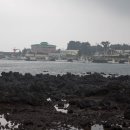 정남 민박 이미지