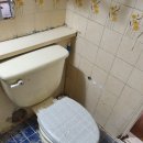 태양맨션 이미지