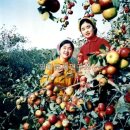 황주농장 이미지