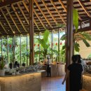 아나푸드 이미지