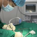 동탄원더스동물의료센터 이미지