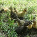 오리창고 이미지