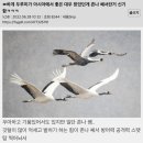 대우복사 이미지