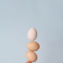 보령약품㈜ 이미지