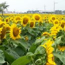 마동목장 이미지