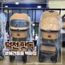 부산 북구 애견용품 할인매장 핫독 애견용품백화점 덕천점 방문후기