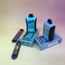 픽미픽미아이스 (중화점) | 편의점 일회용 전자담배 추천 및 정착 투엑스 바이미 후기