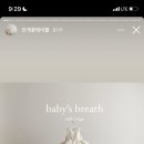 단화정