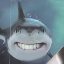 부캉이 이미지
