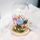아띠-Lflower 이미지