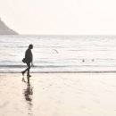 봄의기운 이미지