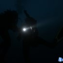 인구 리조트 이미지