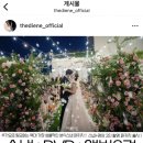 [결혼 준비] 4. 본식 스냅 ‘더디엔‘ 계약 후기
