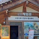 콩쥐팥쥐 관광한옥리조트 네이버블로그