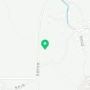 신천도토리새싹요리 이미지