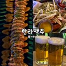 한라맥주 - 성북구 동소문로20길 37-10 | 울산 일산해수욕장 술집! 간단하게 한 잔 하기 좋은 한라맥주 [내돈내산 후기]
