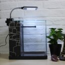 플랜츠비 이미지