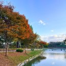 소풍정원 캠핑장 (화장실)1 | 평택 진위천 옆 소풍정원 단풍 실시간 캠핑장 이용정보