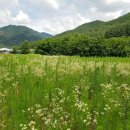 맹씨네 농장 이미지