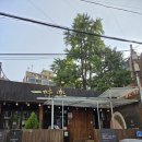 상암일미락 | 상암 숙성 고기집 맛집 상암일미락 맛있게 먹고 온 후기