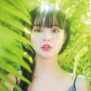 에스티메이트 유한회사 이미지