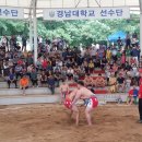 자인계정숲(씨름장) 뉴스1