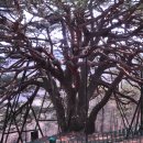 답곡리마을 이미지