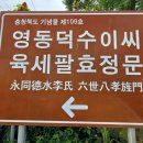채하정 이미지