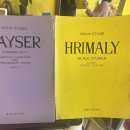 바이올린 | [후기] 달 바이올린 스튜디오, 성인 취미 바이올린 시작!