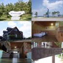 햇빛부서지는바다 이미지