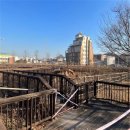 용호근린공원 이미지