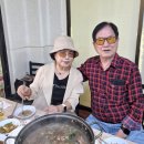향원 이미지