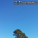 대림슈퍼 - 용인시 기흥구 이현로29번길 86-14 | 대림슈퍼