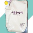 새한탕