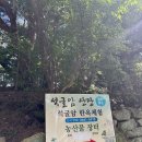 재상창 | 여름방학 경주 아이와 가볼만한곳, 석굴암 역사부터 주차 경주 당일치기 코스 꿀팁까지