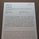 국립중앙박물관 상설전시 [4]
