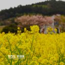 도락어촌체험휴향마을 | 유채꽃이 만발한 청산도 당일여행으로 다녀온 후기 :: 범바위와 서편제