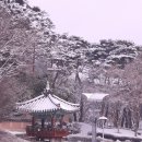 담소정 Daum카페
