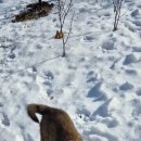 시일농장 이미지