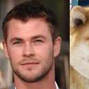 개벤져스 이미지