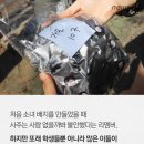 마산무학여자고등학교 이미지