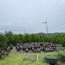 자매추어탕 이미지