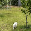 호점컴퓨터 이미지