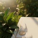 미래농약사 | 식물보호산업기사, 비전공자도 학점은행제로 합격하는 꿀팁 총정리