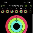 수림회포차