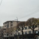 팔달구청 앞 | [경기 수원] 수원점집/팔달구 용한점집/개인점사/가족점사별상도령 신점 후기