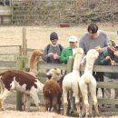 재석농장 이미지