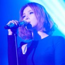 더끌림(The끌림) 세계일보